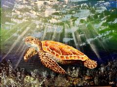 turtle