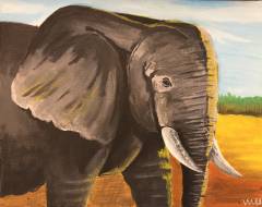 elephant